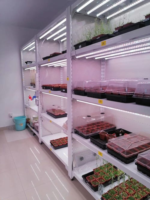 植物工廠技術核心 組培室與消聲室的視覺圖集